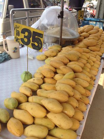 mango in thailand